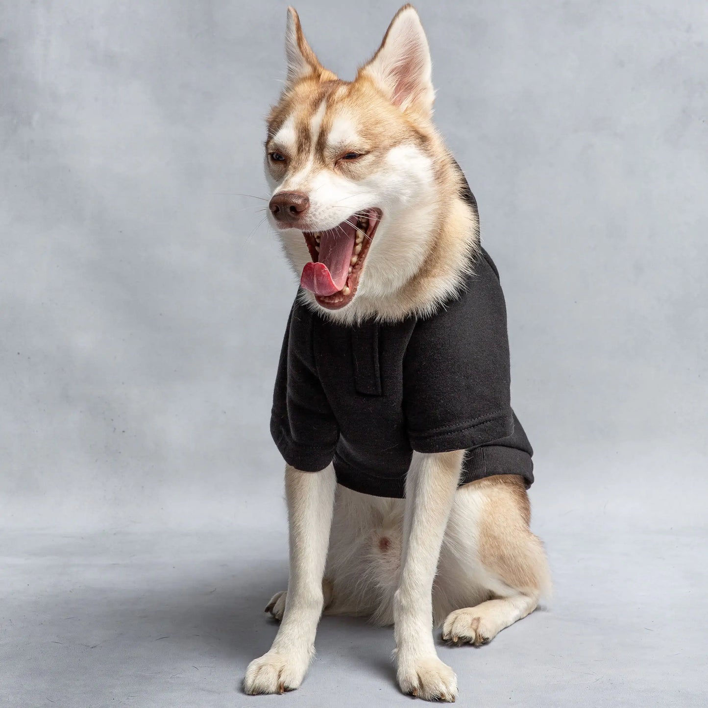 Hooded Dog Fleece - US Army