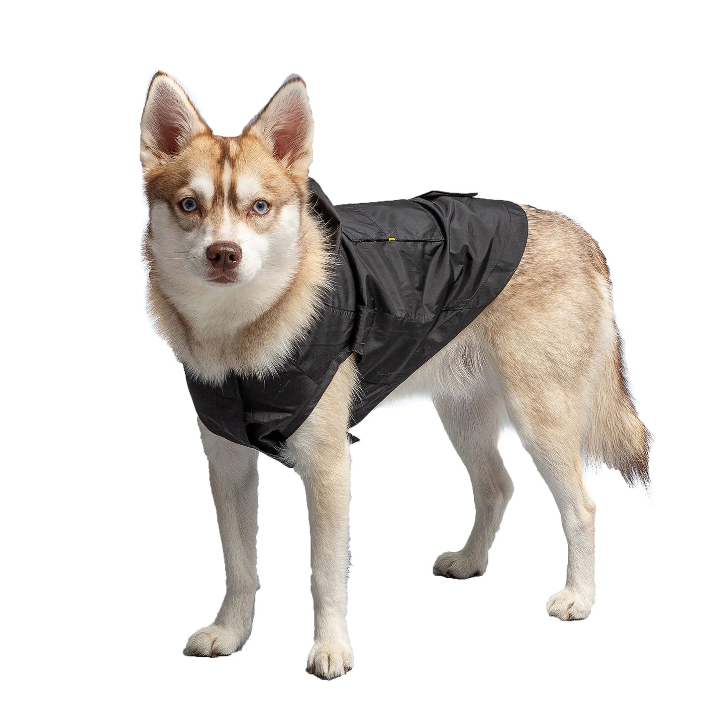 Black Packable Dog Raincoat - US Army