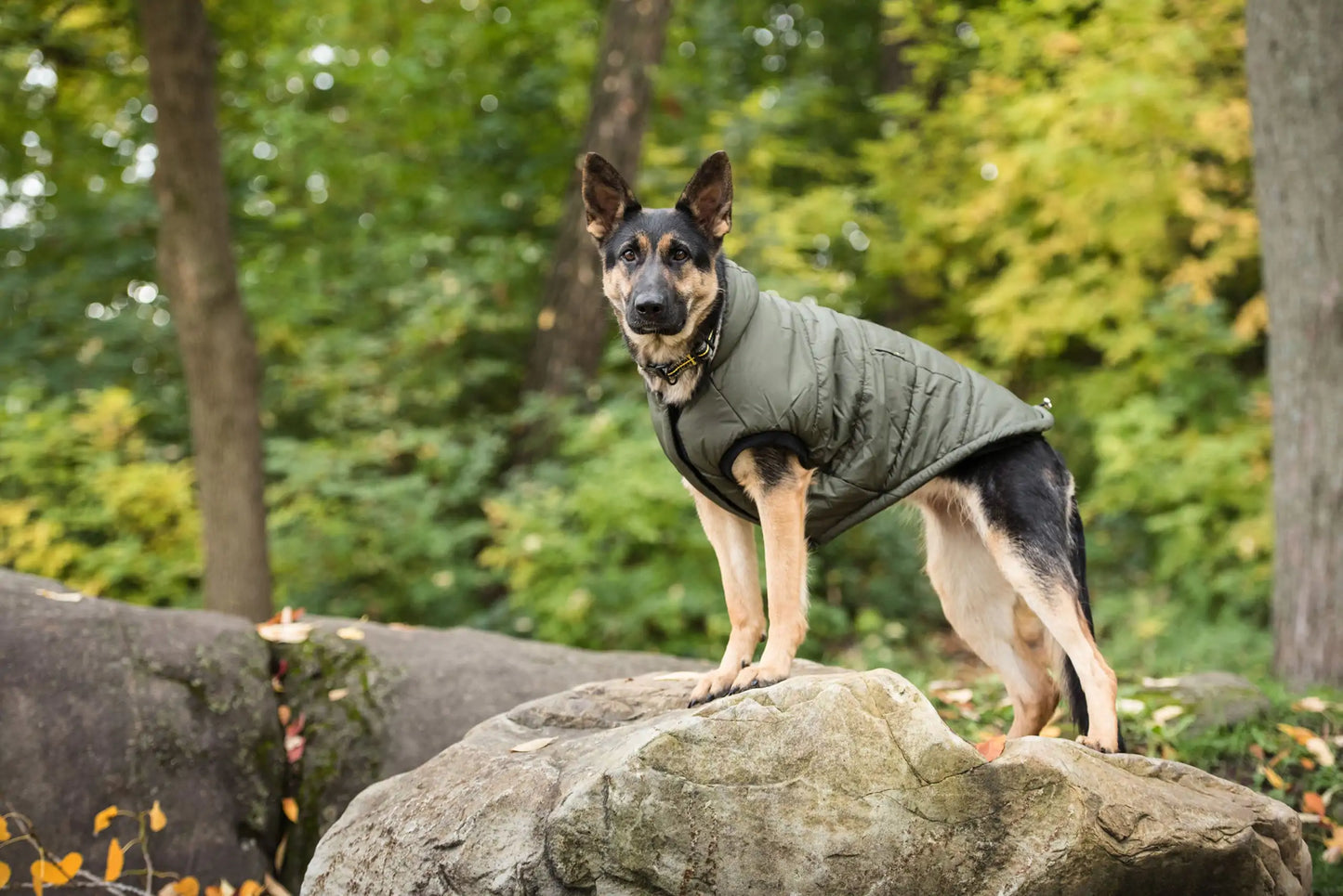 Dark Camo Army Dog Parka - US Army