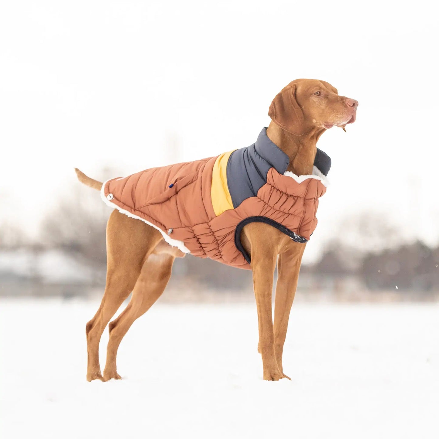 GF Pet | Retro Puffer - Hazel