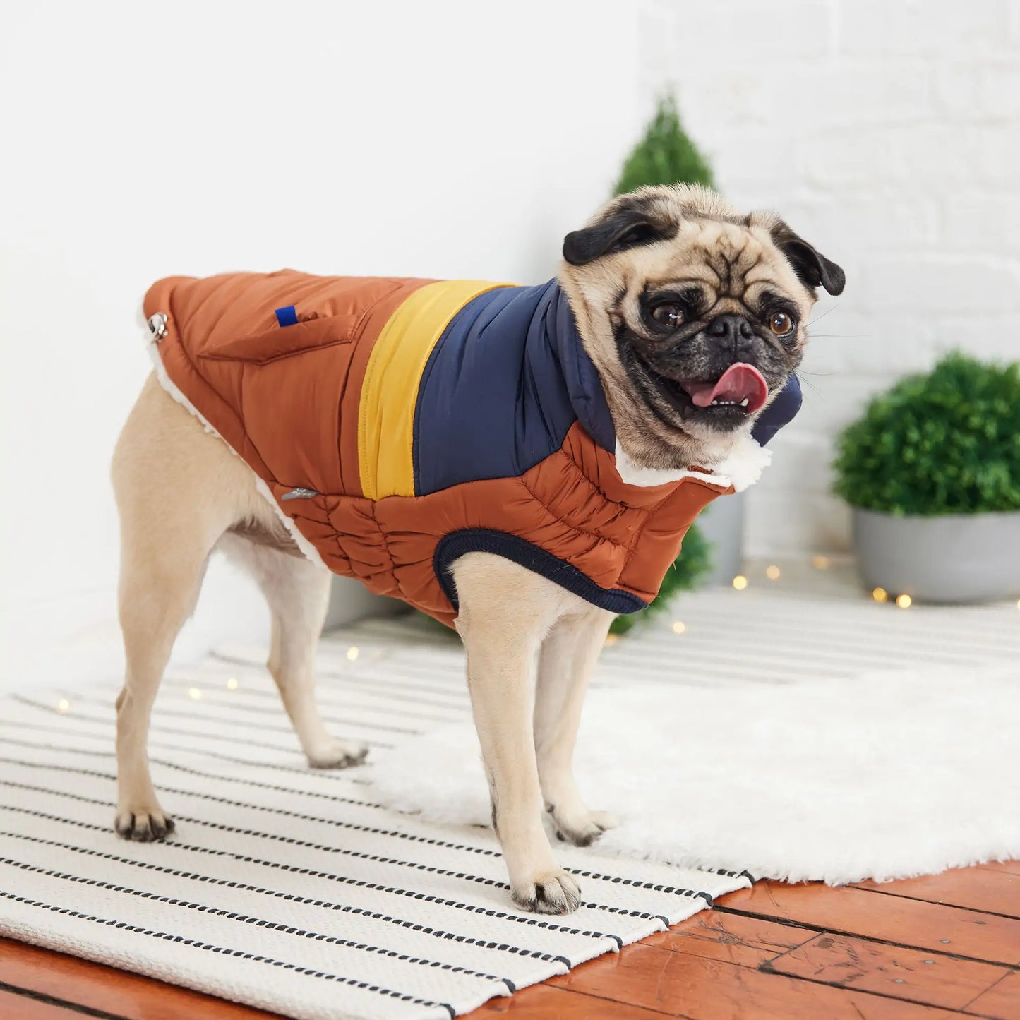 GF Pet | Retro Puffer - Hazel