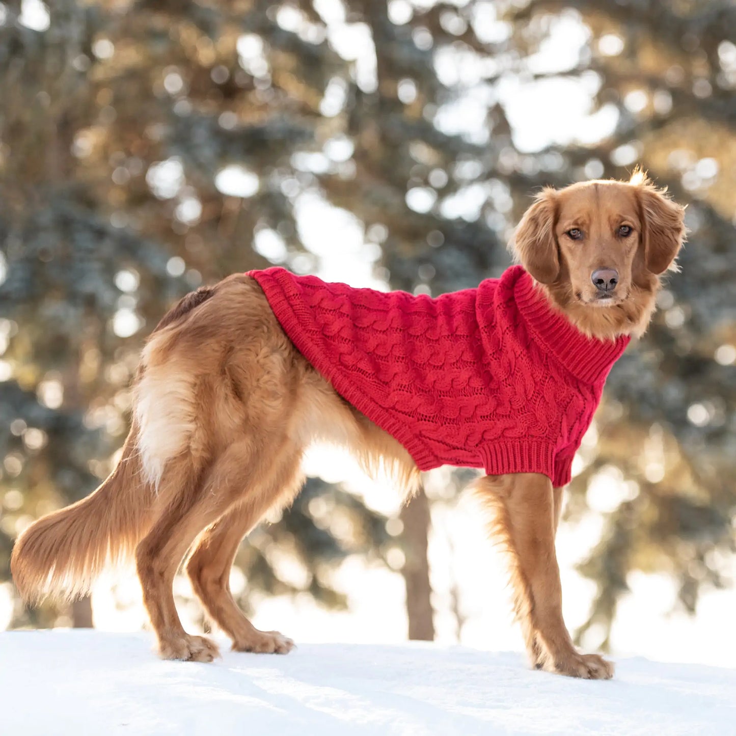 GF Pet | Red Chalet Dog Sweater